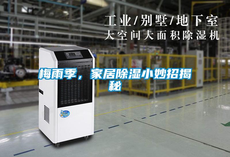 梅雨季,家居除濕小妙招揭秘