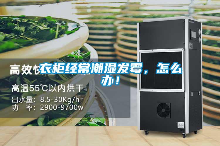 衣柜經(jīng)常潮濕發(fā)霉,怎么辦!