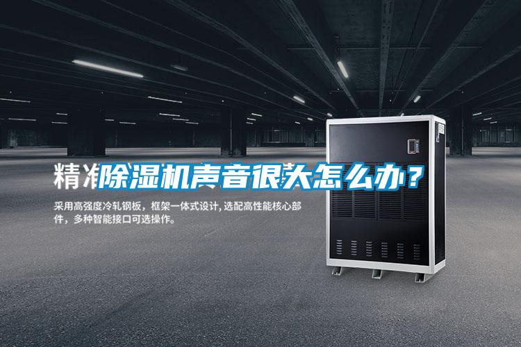 除濕機(jī)聲音很大怎么辦?