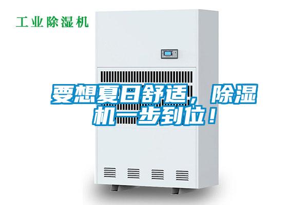 要想夏日舒適,除濕機(jī)一步到位!