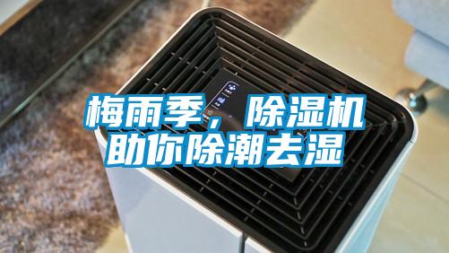 梅雨季,除濕機(jī)助你除潮去濕