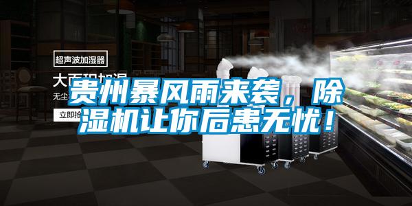 貴州暴風雨來襲，除濕機讓你后患無憂！
