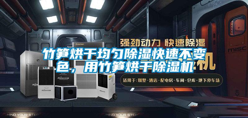 竹筍烘干均勻除濕快速不變色,用竹筍烘干除濕機(jī)