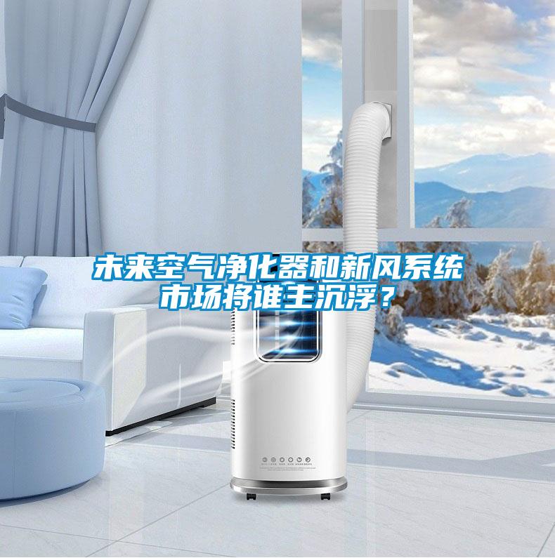 未來空氣凈化器和新風系統市場將誰主沉浮?