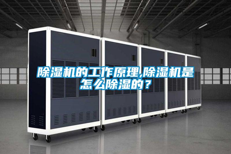 除濕機的工作原理,除濕機是怎么除濕的？