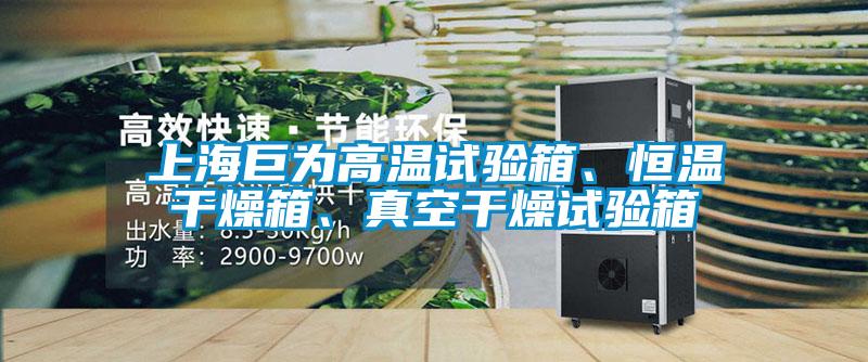 上海巨為高溫試驗(yàn)箱、恒溫干燥箱、真空干燥試驗(yàn)箱