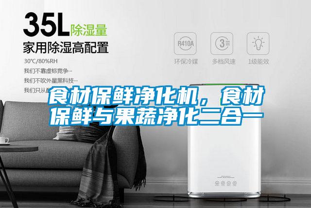 食材保鮮凈化機,食材保鮮與果蔬凈化二合一