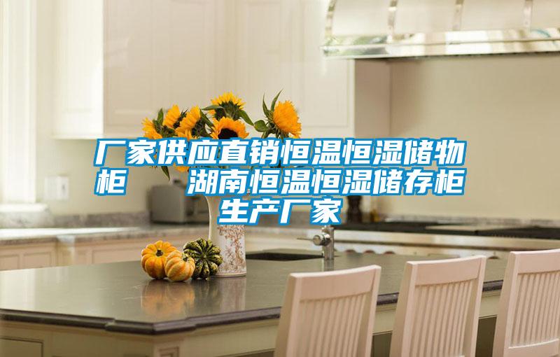 廠家供應直銷恒溫恒濕儲物柜 湖南恒溫恒濕儲存柜生產廠家