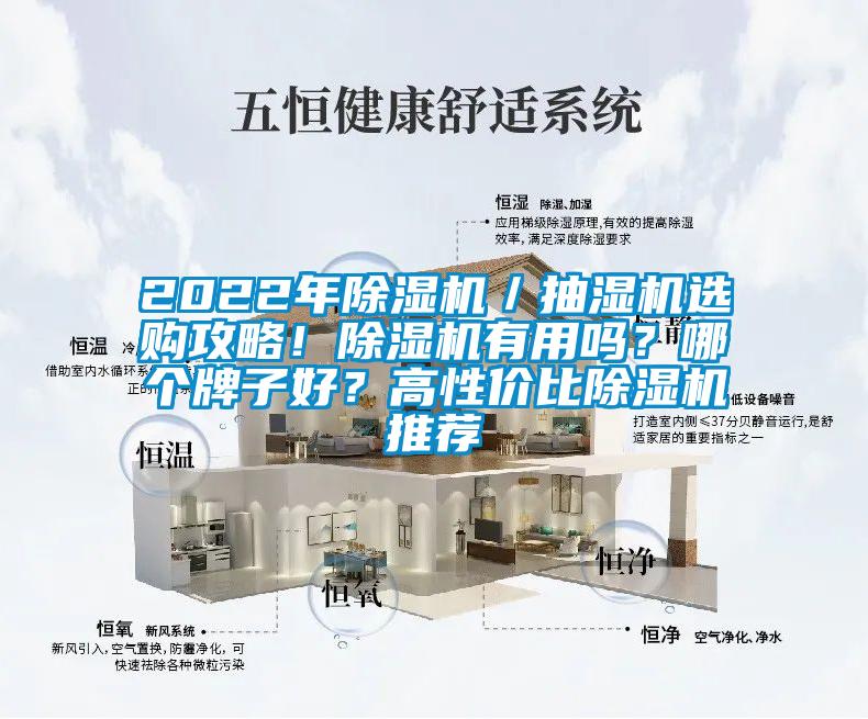 2022年除濕機／抽濕機選購攻略！除濕機有用嗎？哪個牌子好？高性價比除濕機推薦