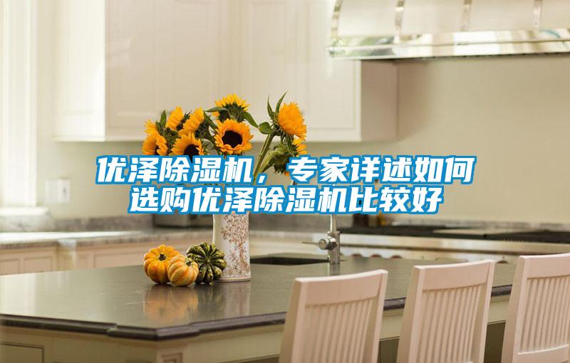 優(yōu)澤除濕機(jī),專家詳述如何選購優(yōu)澤除濕機(jī)比較好