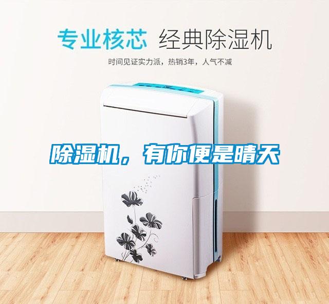 除濕機，有你便是晴天