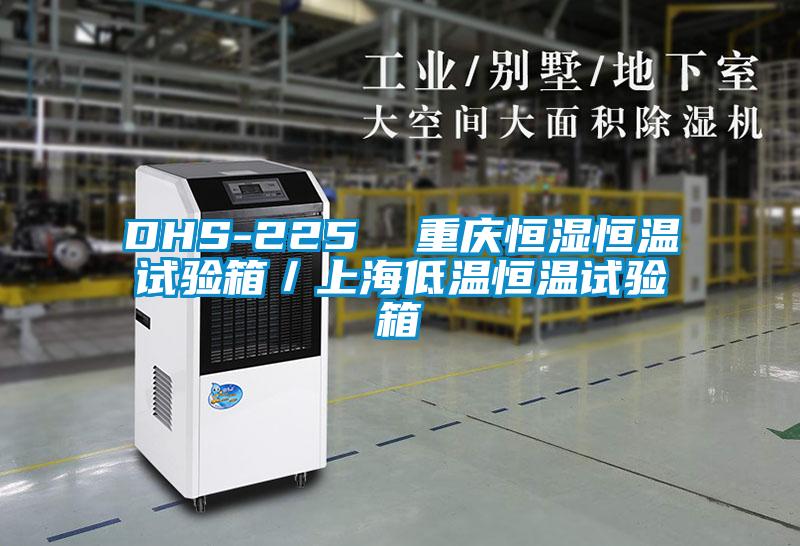 DHS-225 重慶恒濕恒溫試驗箱/上海低溫恒溫試驗箱