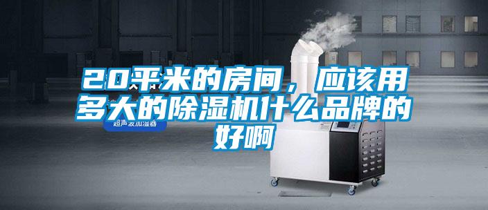 20平米的房間,應該用多大的除濕機什么品牌的好啊