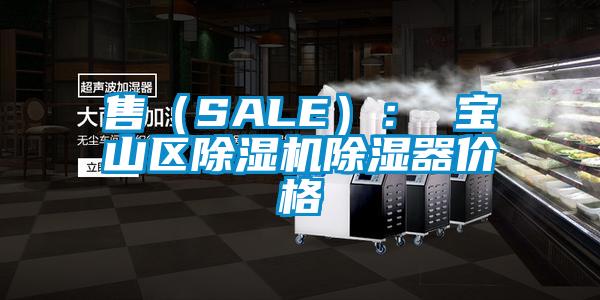 售(SALE): 寶山區除濕機除濕器價格