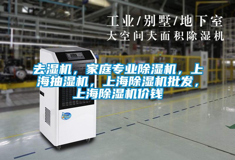 去濕機(jī)，家庭專業(yè)除濕機(jī)，上海抽濕機(jī)，上海除濕機(jī)批發(fā)，上海除濕機(jī)價(jià)錢