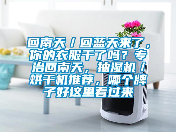 回南天/回藍天來了,你的衣服干了嗎?專治回南天,抽濕機/烘干機推薦,哪個牌子好這里看過來