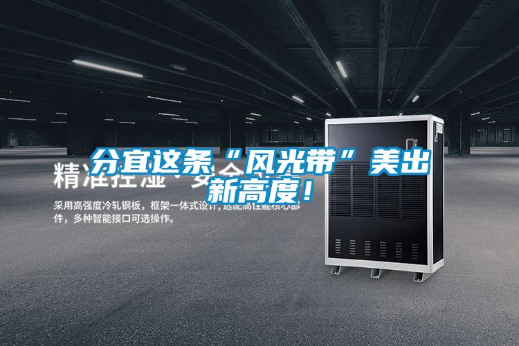 分宜這條“風光帶”美出新高度!