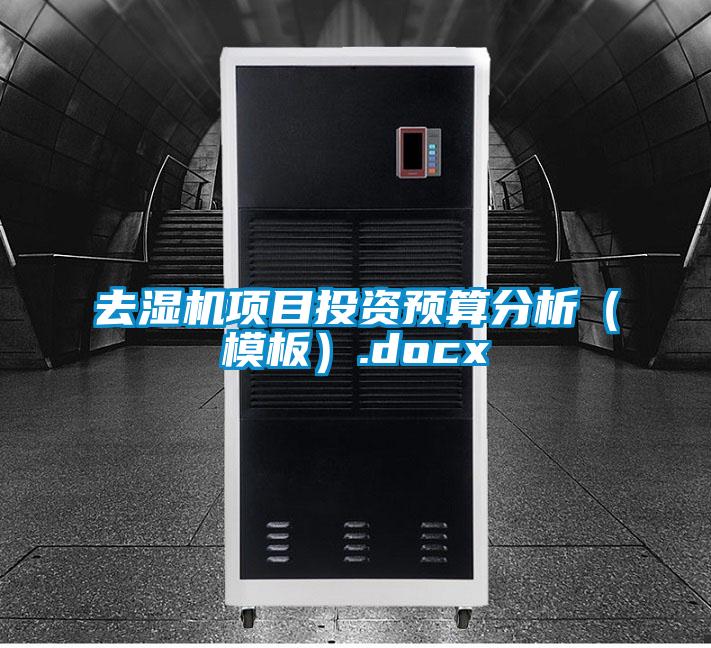 去濕機(jī)項目投資預(yù)算分析(模板).docx