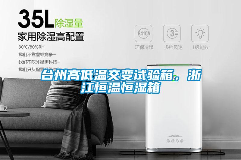 臺(tái)州高低溫交變?cè)囼?yàn)箱,浙江恒溫恒濕箱