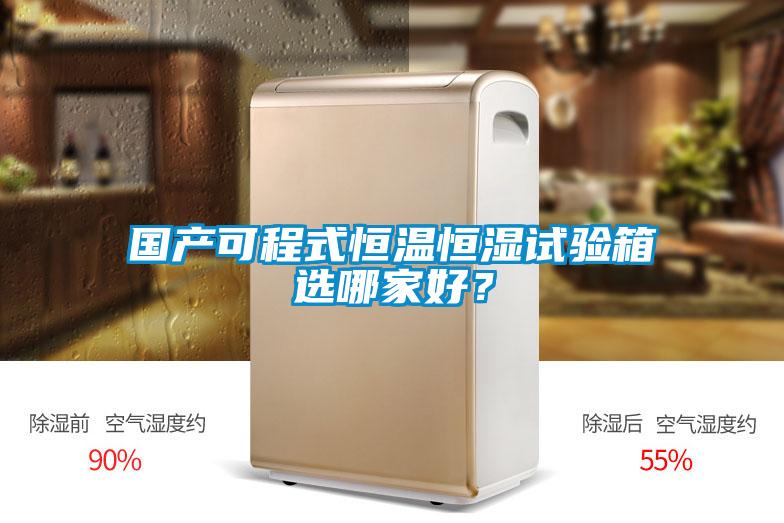 國產(chǎn)可程式恒溫恒濕試驗箱選哪家好?