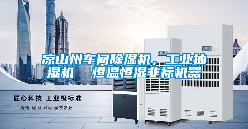 涼山州車間除濕機,工業(yè)抽濕機 恒溫恒濕非標機器