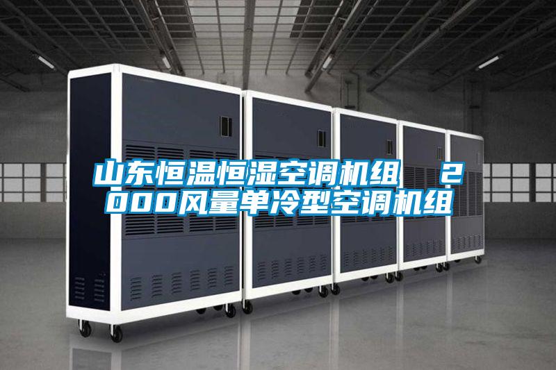 山東恒溫恒濕空調(diào)機(jī)組 2000風(fēng)量單冷型空調(diào)機(jī)組