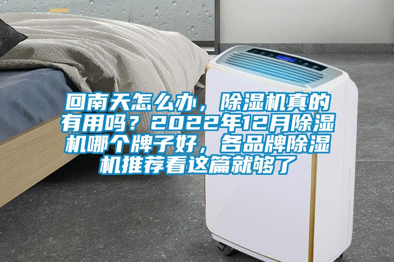 回南天怎么辦,除濕機真的有用嗎?2022年12月除濕機哪個牌子好,各品牌除濕機推薦看這篇就夠了