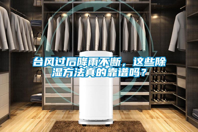 臺風(fēng)過后降雨不斷,這些除濕方法真的靠譜嗎?