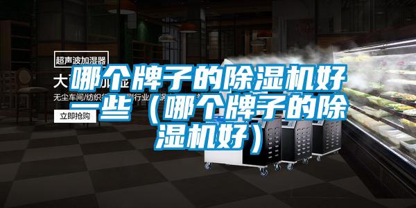哪個(gè)牌子的除濕機(jī)好一些(哪個(gè)牌子的除濕機(jī)好)