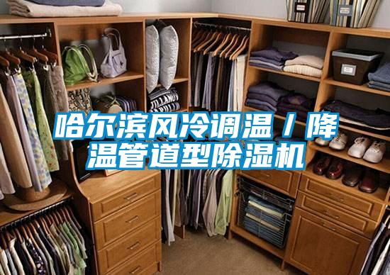 哈爾濱風冷調溫/降溫管道型除濕機