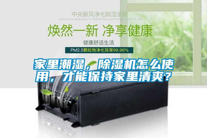 家里潮濕，除濕機怎么使用，才能保持家里清爽？