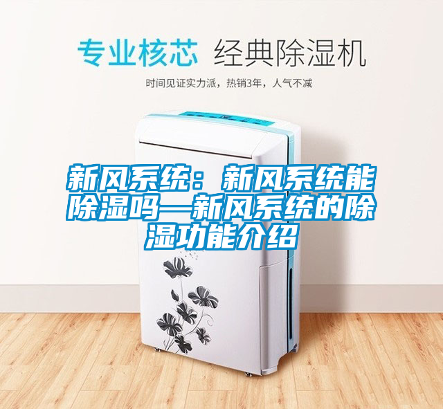 新風(fēng)系統(tǒng):新風(fēng)系統(tǒng)能除濕嗎—新風(fēng)系統(tǒng)的除濕功能介紹