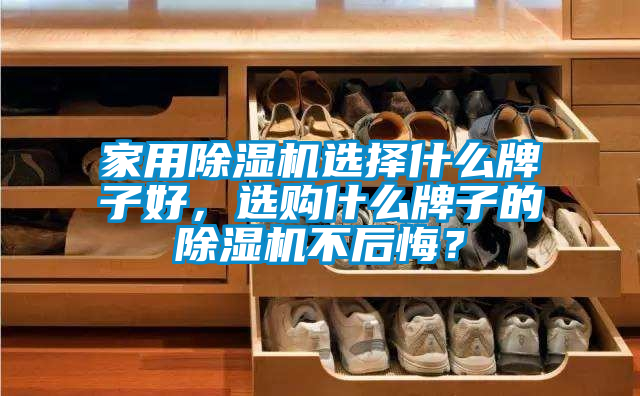 家用除濕機選擇什么牌子好，選購什么牌子的除濕機不后悔？