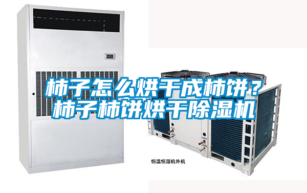 柿子怎么烘干成柿餅?柿子柿餅烘干除濕機