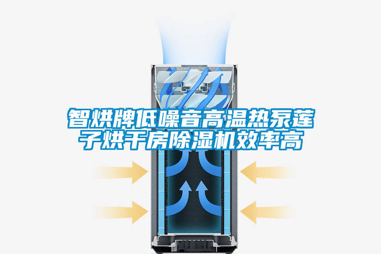 智烘牌低噪音高溫?zé)岜蒙徸雍娓煞砍凉駲C(jī)效率高
