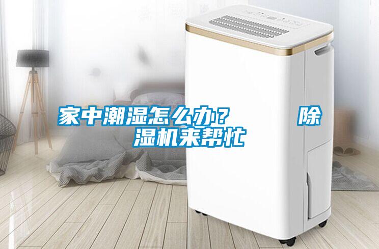 家中潮濕怎么辦? 除濕機來幫忙