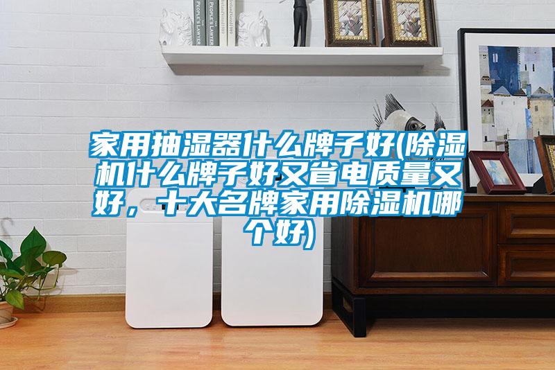 家用抽濕器什么牌子好(除濕機什么牌子好又省電質量又好,十大名牌家用除濕機哪個好)