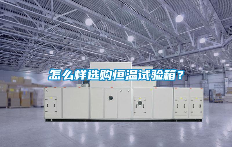 怎么樣選購恒溫試驗箱？