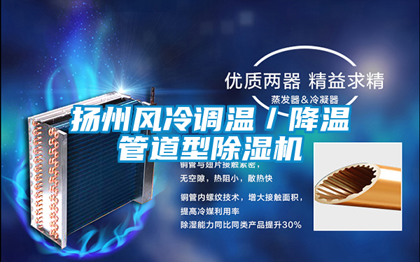 揚州風(fēng)冷調(diào)溫/降溫管道型除濕機