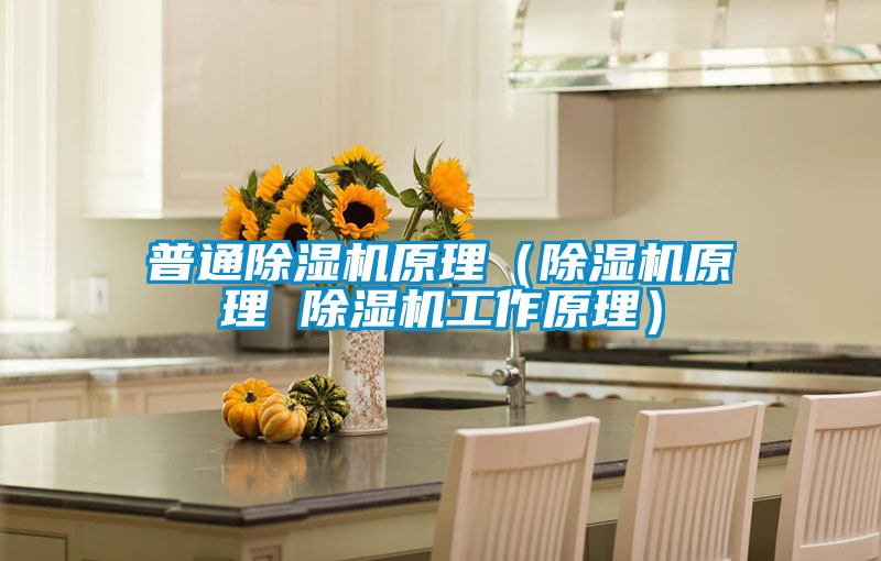 普通除濕機原理(除濕機原理 除濕機工作原理)