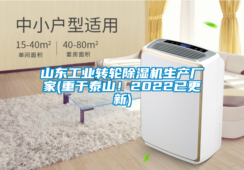 山東工業(yè)轉(zhuǎn)輪除濕機生產(chǎn)廠家(重于泰山！2022已更新)