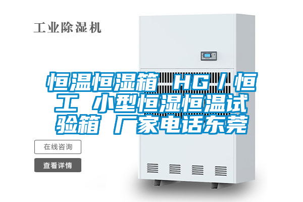 恒溫恒濕箱 HG/恒工 小型恒濕恒溫試驗(yàn)箱 廠家電話東莞