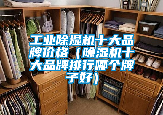 工業除濕機十大品牌價格(除濕機十大品牌排行哪個牌子好)