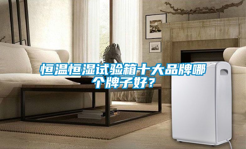 恒溫恒濕試驗箱十大品牌哪個牌子好？