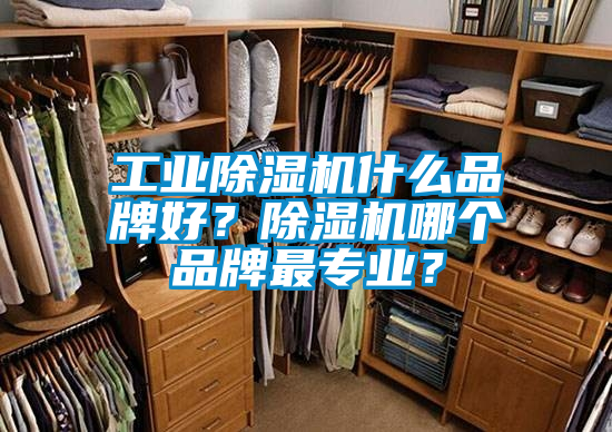 工業除濕機什么品牌好？除濕機哪個品牌最專業？