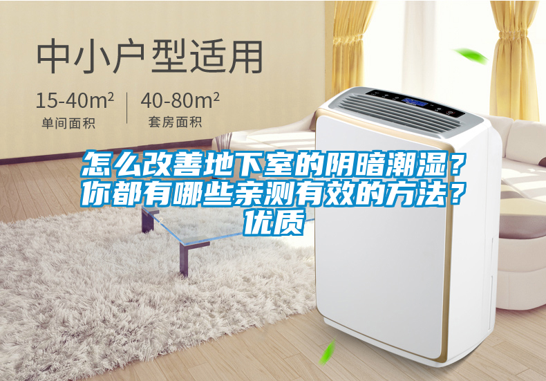 怎么改善地下室的陰暗潮濕?你都有哪些親測有效的方法?優質