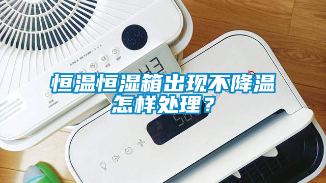 恒溫恒濕箱出現不降溫怎樣處理?