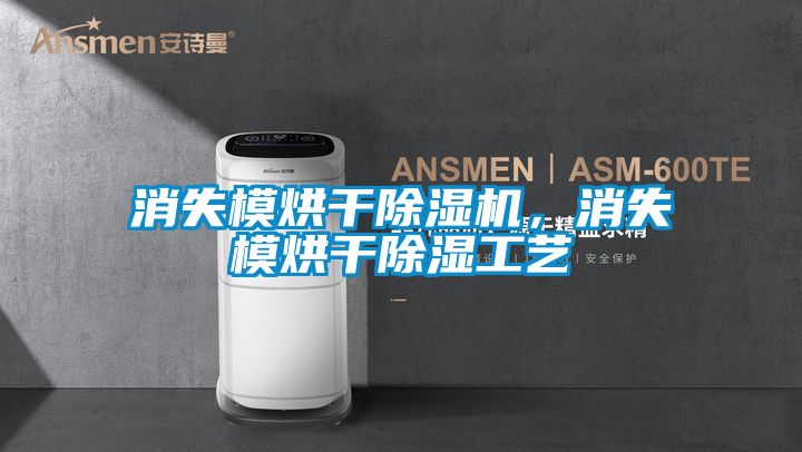 消失模烘干除濕機(jī),消失模烘干除濕工藝
