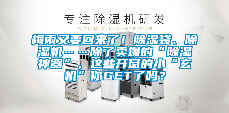 梅雨又要回來了！除濕袋、除濕機(jī)……除了賣爆的“除濕神器”，這些開窗的小“玄機(jī)”你GET了嗎？