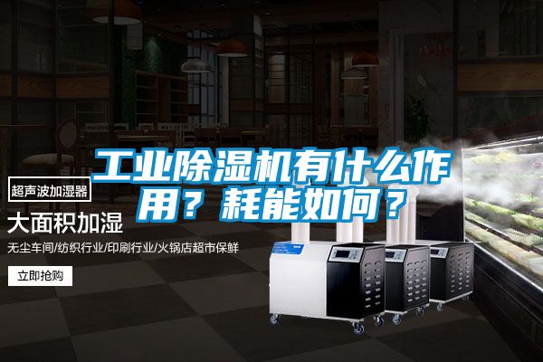 工業(yè)除濕機(jī)有什么作用?耗能如何?